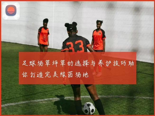 足球场草坪草的选择与养护技巧助你打造完美绿茵场地